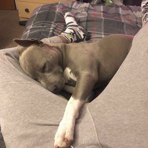 Meet your Posher, Nicholas